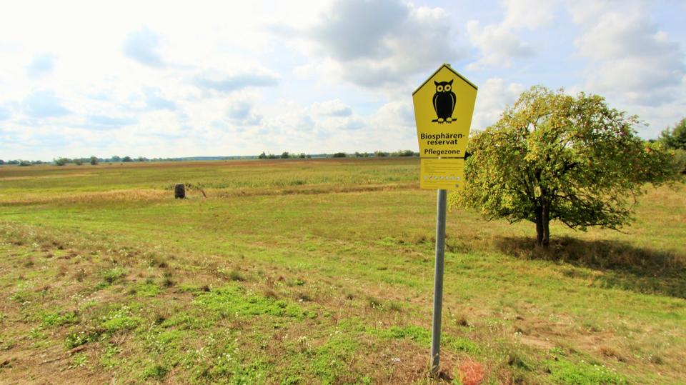 Erdgeschoßwohnung Dömitz - 3 Zimmer, 86 m&sup2;, 645&euro; | Angebot:23039013