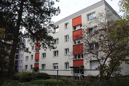 Wohnung Hanau Lamboy - 2 Zimmer, 54 m&sup2;, 506&euro; | Angebot:26679450
