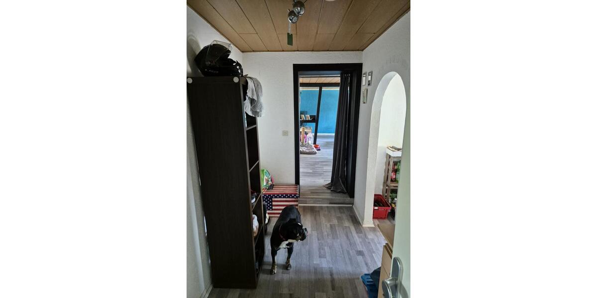 3 ZKB Wohnung 3 zimmer