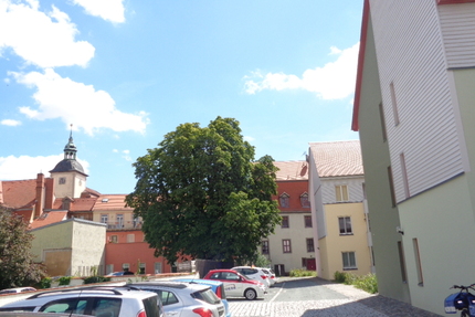 2-Raum-Wohnung mit Loggia 2 zimmer