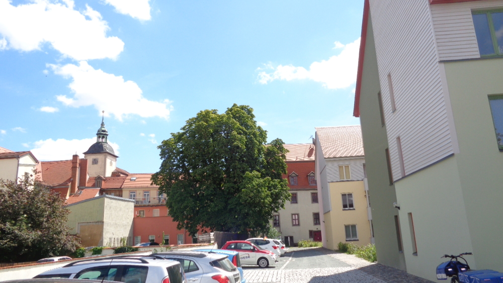 2-Raum-Wohnung mit Loggia 2 zimmer