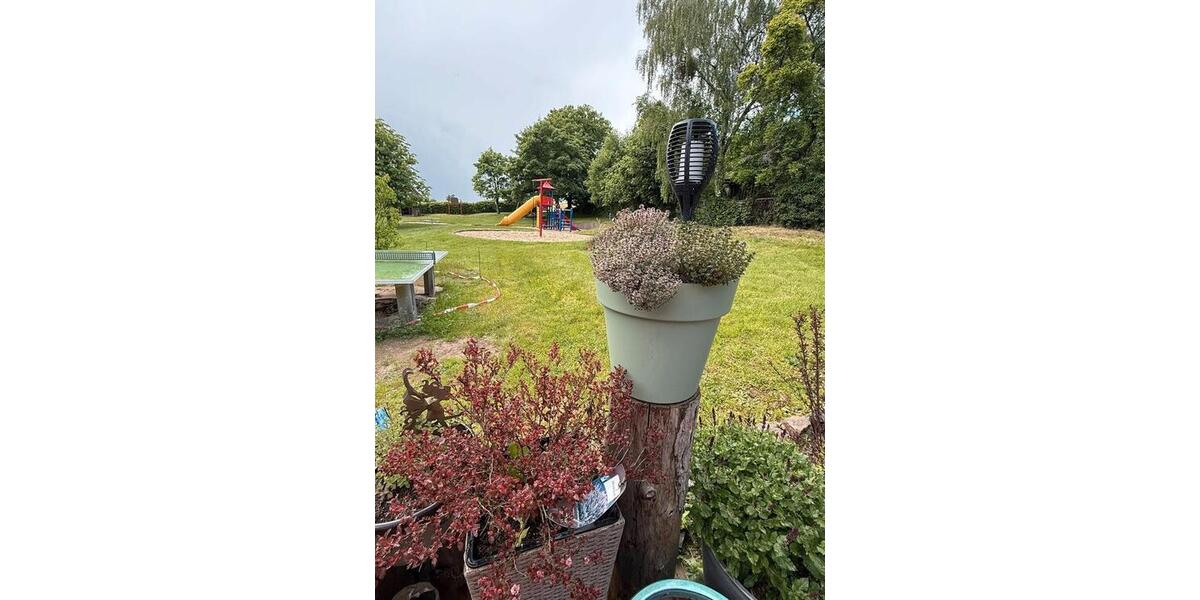 Etagenwohnung Wermsdorf - 6 Zimmer, 123 m&sup2;, 799&euro; | Angebot:26534767
