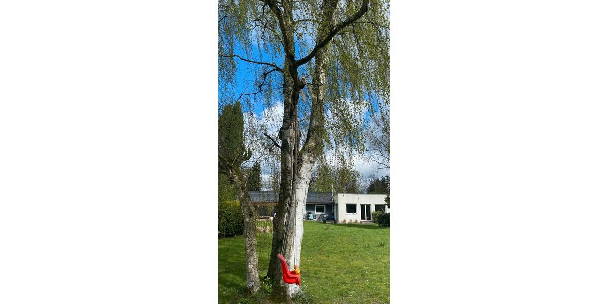 Bungalow Rellingen - 5 Zimmer, 180 m&sup2;, 3.250&euro; | Angebot:26603453