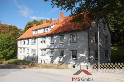 Wohnung Braunlage Sankt Andreasberg - 3 Zimmer, 51 m&sup2;, 300&euro; | Angebot:20442528