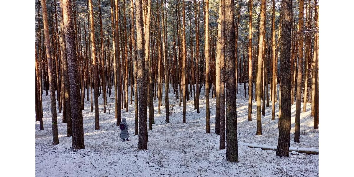 Loft - Studio - Atelier Fürstenberg/Havel Havel - 1 Zimmer, 87 m&sup2;, 1.108&euro; | Angebot:24708325