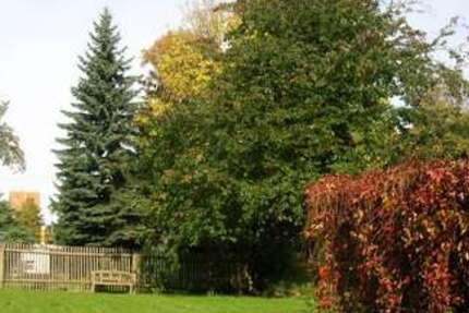 Wohnung zum Mieten in Zwickau 620 € 95.97 m² 4 zimmer