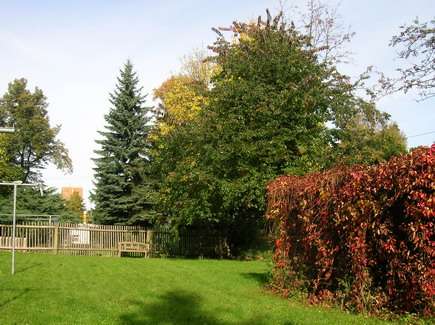 Wohnung zum Mieten in Zwickau 620 € 95.97 m² 4 zimmer