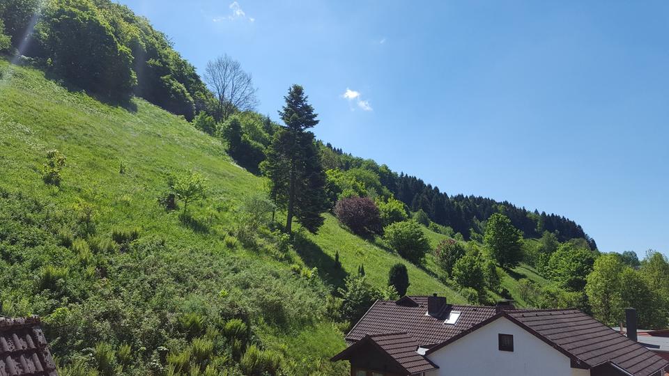 Dachgeschoßwohnung Osterode am Harz - 4 Zimmer, 120 m&sup2;, 700&euro; | Angebot:25299216