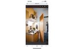 Wohnen auf Zeit Bochum Querenburg - 1 Zimmer, 20 m&sup2;, 420&euro; | Angebot:26595968