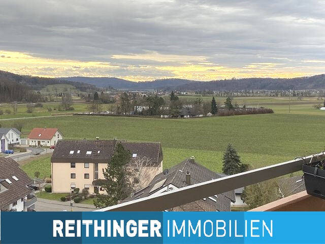 Etagenwohnung Rielasingen-Worblingen Rielasingen - 2 Zimmer, 65 m&sup2;, 700&euro; | Angebot:26744760