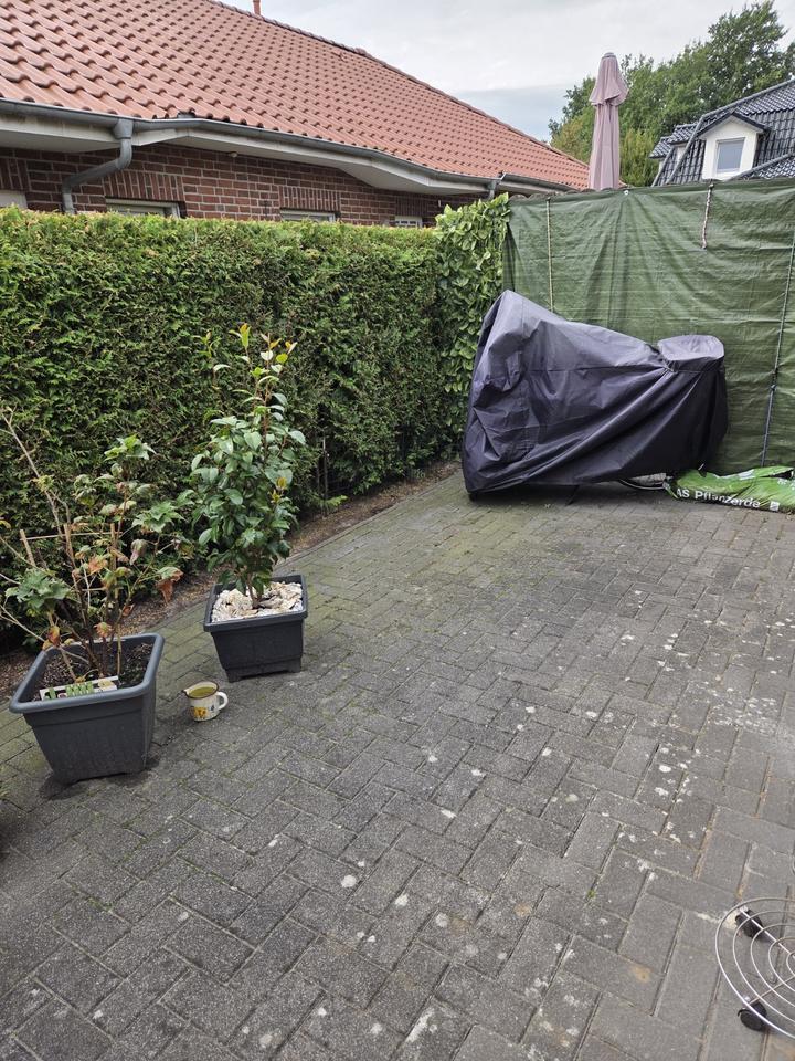 2 ZKB Bungalow-Wohnung, altersgerecht und modern in Sedelsberg
