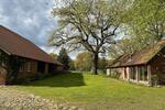 Gewerbeobjekt Dötlingen - 300&euro; | Angebot:26239135