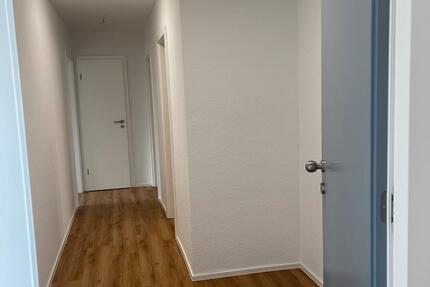 Schöne, helle, komplett sanierte 3-Zimmer Wohnung zimmer
