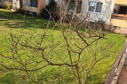 Wohnung Isernhagen - 20 Zimmer, 48 m&sup2;, 500&euro; | Angebot:24754494