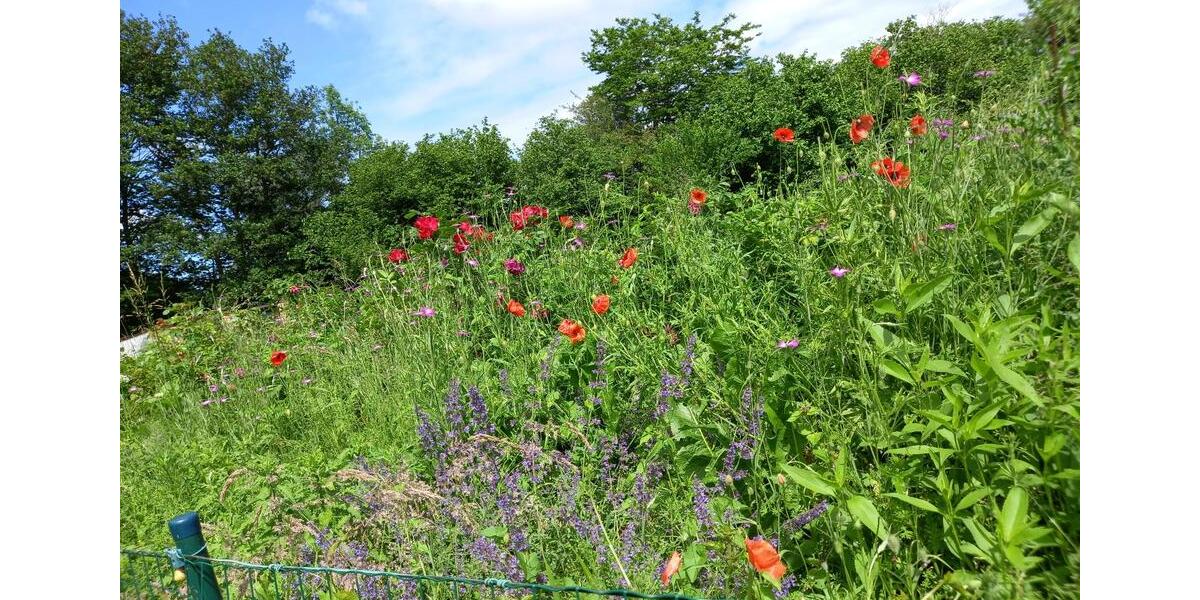 sehr ländliche 2-Zi. Wohnung m. Terrasse u Garten, Ostseenähe 2 zimmer