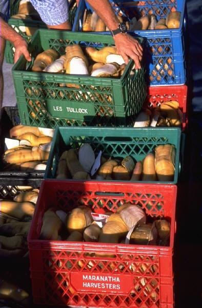 Einzelhandel am Turm zimmer