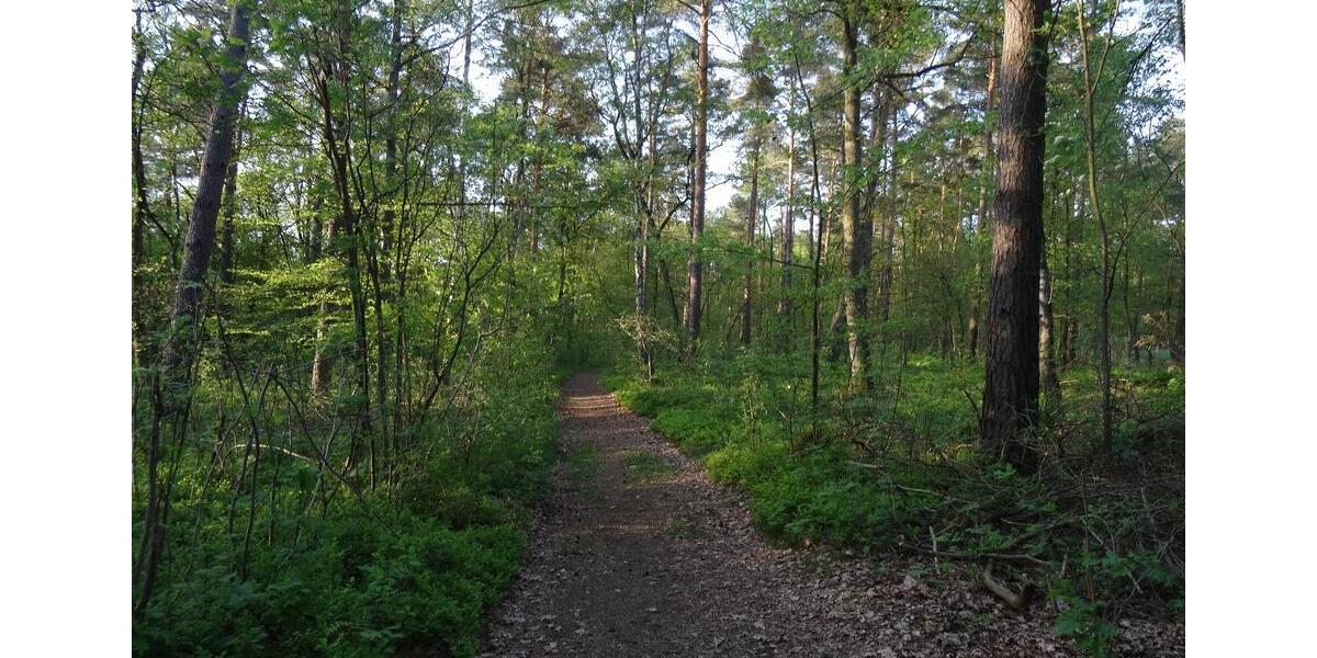 Wohnen auf Zeit Boizenburg/Elbe Elbe - 1 Zimmer, 45 m&sup2;, 470&euro; | Angebot:26066466