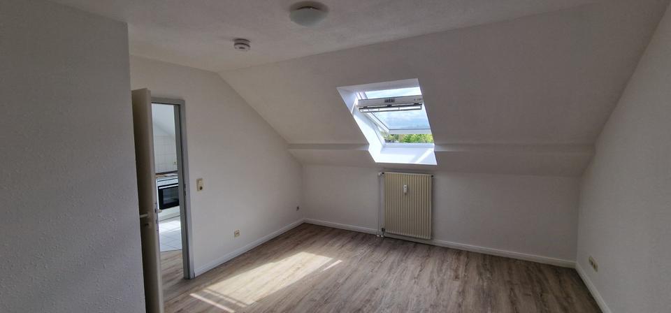 helle 1 Zi Whg mit EBK und Duschbad in Heide zu vermieten 1 zimmer