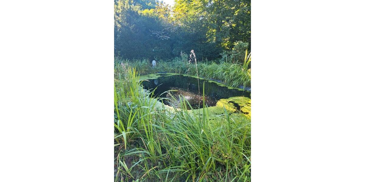 Erdgeschoßwohnung Bad Fallingbostel - 3 Zimmer, 85 m&sup2;, 950&euro; | Angebot:24750919