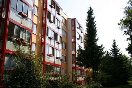 Wohnung Zeitz Hainichen - 1 Zimmer, 30 m&sup2;, 225&euro; | Angebot:26155999