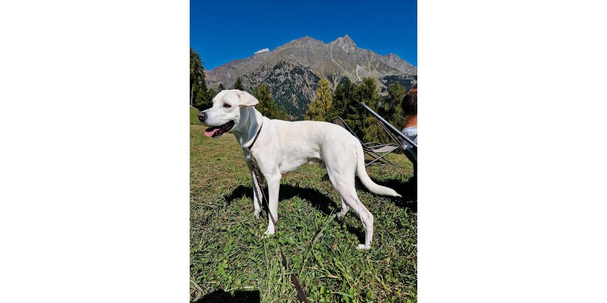 Wohnen auf Zeit Langerringen - 2 Zimmer, 30 m&sup2;, 350&euro; | Angebot:25562936