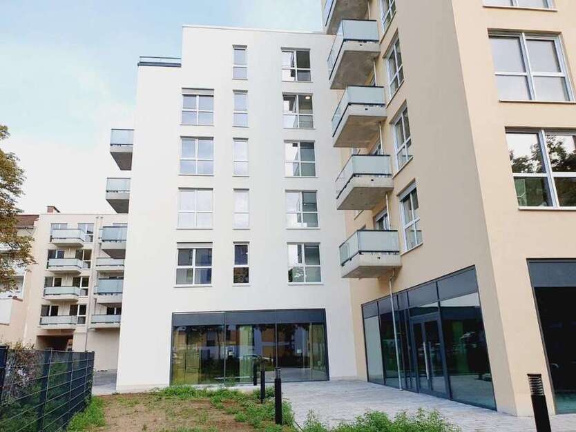 Wohnung zum Mieten in Offenbach 894,35 € 55.55 m²