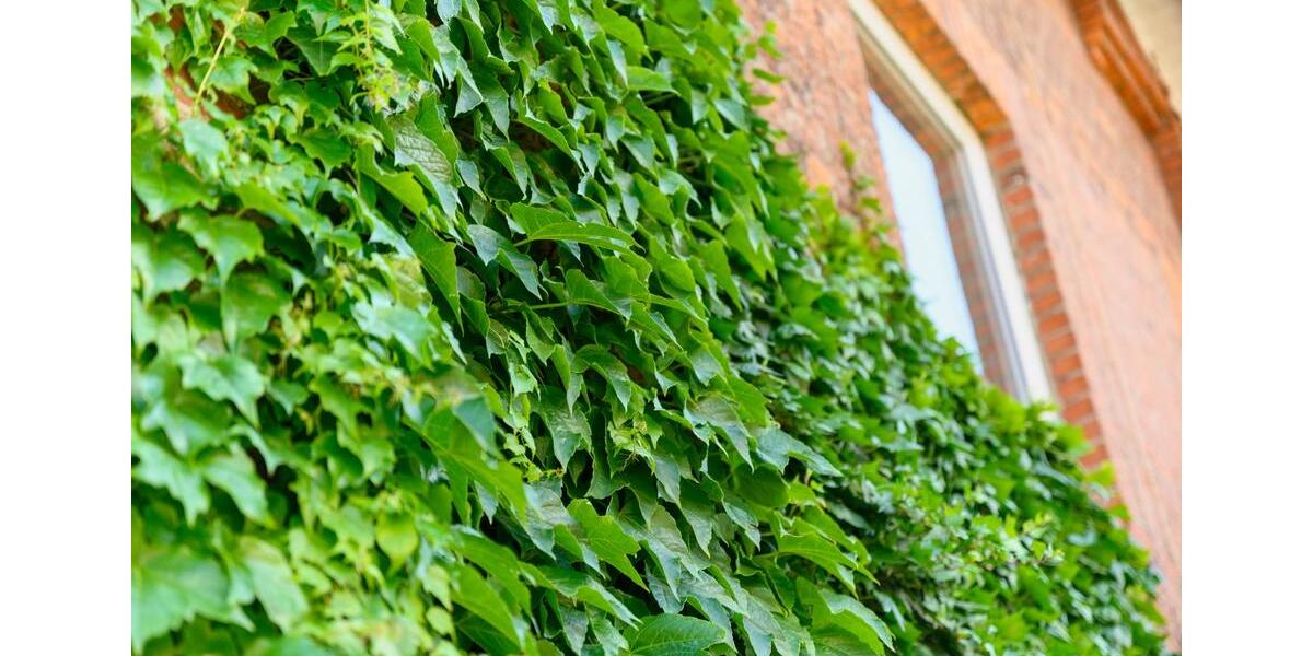 Maisonettenwohnung Bad Segeberg - 4 Zimmer, 82 m&sup2;, 999&euro; | Angebot:25838120