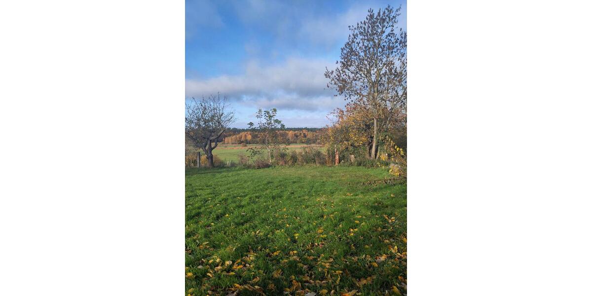 Zimmer in WG in Schattin 2 zimmer