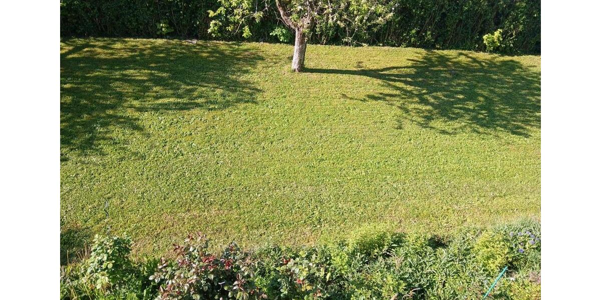 Wohnen auf Zeit Grenzach-Wyhlen Wyhlen - 9 Zimmer, 300 m&sup2;, 399&euro; | Angebot:26153925