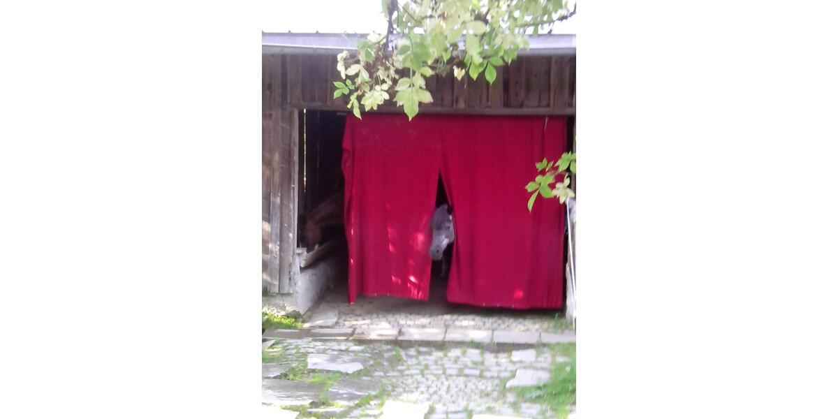 Etagenwohnung Neureichenau - 2 Zimmer, 70 m&sup2;, 400&euro; | Angebot:26504081