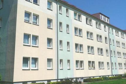 Wohnung Torgau - 2 Zimmer, 46 m&sup2;, 260&euro; | Angebot:24677151