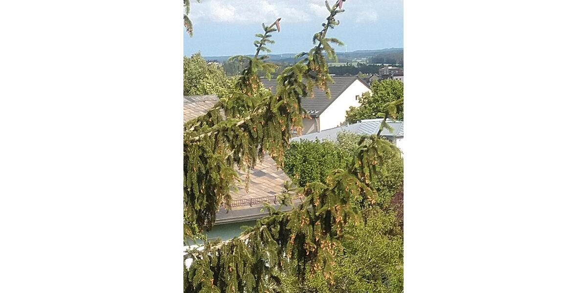 Etagenwohnung Bayreuth City - 2 Zimmer, 50 m&sup2;, 450&euro; | Angebot:26149099