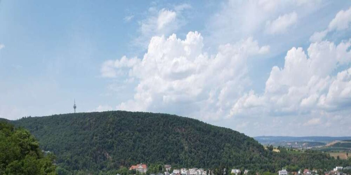 Etagenwohnung Bad Kreuznach Bad Münster am Stein-Ebernburg - 5 Zimmer, 103 m&sup2;, 1.450&euro; | Angebot:27182037