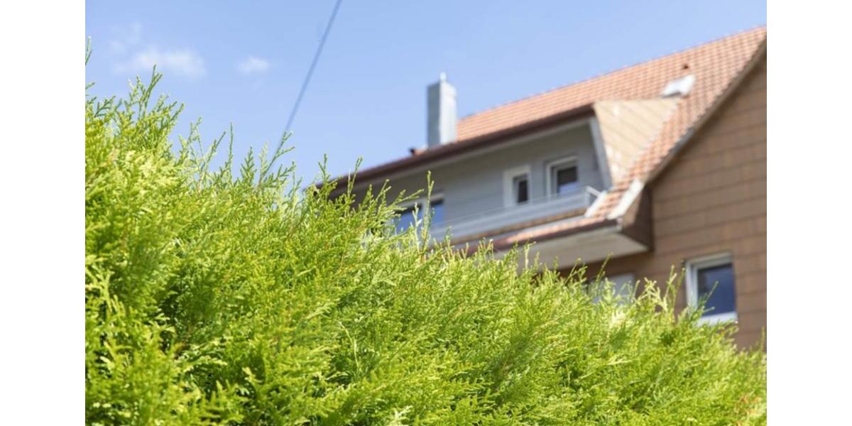 Dachgeschoßwohnung Schramberg - 2 Zimmer, 40 m&sup2;, 605&euro; | Angebot:24780341