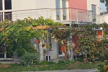 Ruhiges Zimmer in 4er-WG ab 01.12.2025 zu vermieten 1 zimmer