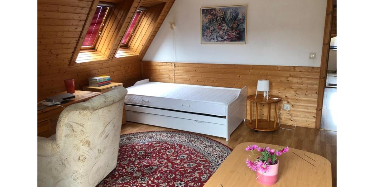 Wohnen auf Zeit Schwerin Altstadt - 1 Zimmer, 45 m&sup2;, 750&euro; | Angebot:26426748