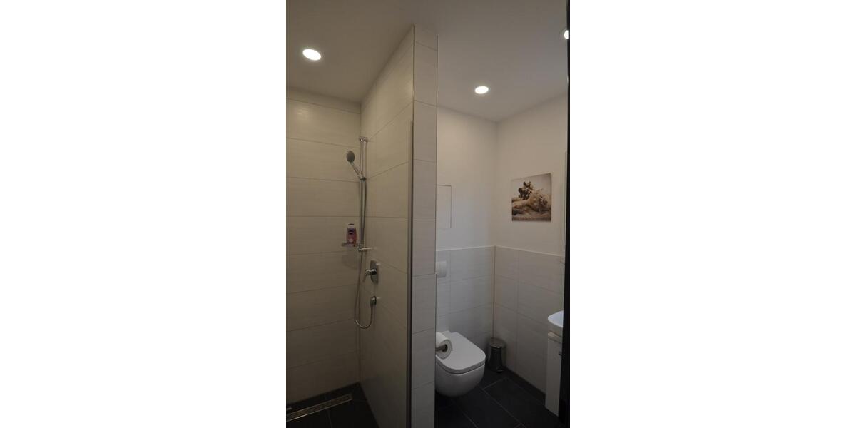 Etagenwohnung Marktheidenfeld - 1 Zimmer, 50 m&sup2;, 1.045&euro; | Angebot:24754959