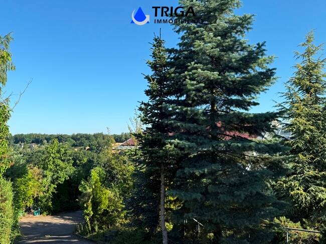 Doppelhaushälfte Nordhausen - 7 Zimmer, 340 m&sup2;, 2.200&euro; | Angebot:25703987