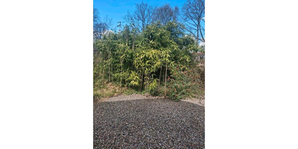 Einfamilienhaus Flintbek - 2 Zimmer, 90 m&sup2;, 1.650&euro; | Angebot:26512487