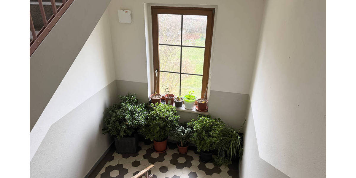 Etagenwohnung Leisnig Fischendorf - 2 Zimmer, 49 m&sup2;, 300&euro; | Angebot:19402039