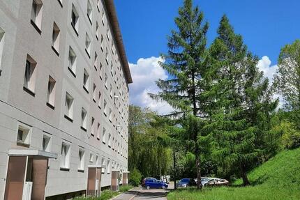 Wohnung Suhl - 3 Zimmer, 56 m&sup2;, 307&euro; | Angebot:25918721