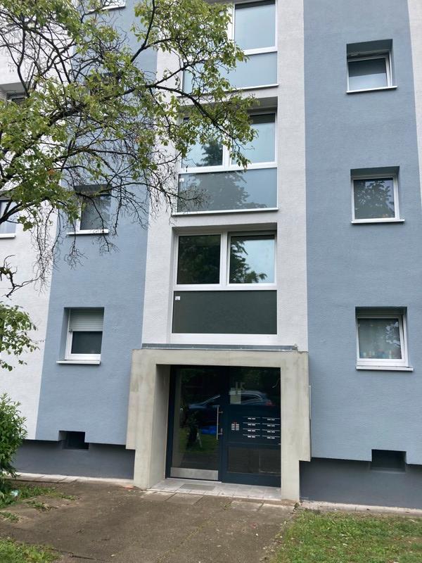 Neu renovierte 3-Zimmer-Wohnung
