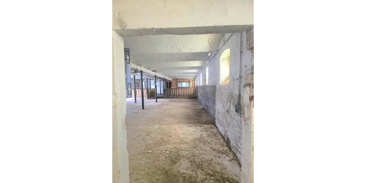 Pferdestallanlage mit Weideflächen in Kriebstein OT Ehrenberg zur Pacht! - Gewerbeobjekt Kriebstein Ehrenberg | Angebot:27212877