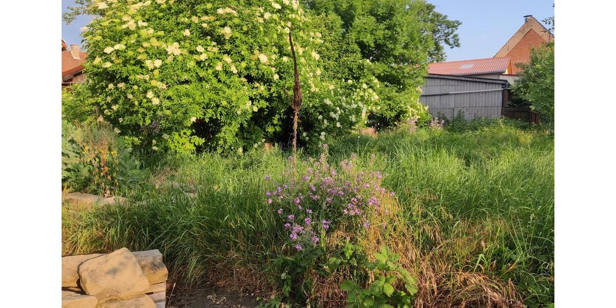 Etagenwohnung Ipsheim - 2 Zimmer, 63 m&sup2;, 480&euro; | Angebot:25841158