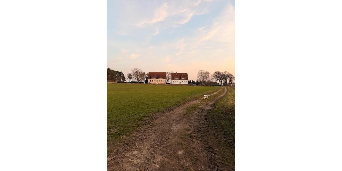 Dachgeschoßwohnung Bahrdorf - 3 Zimmer, 54 m&sup2;, 430&euro; | Angebot:25843943