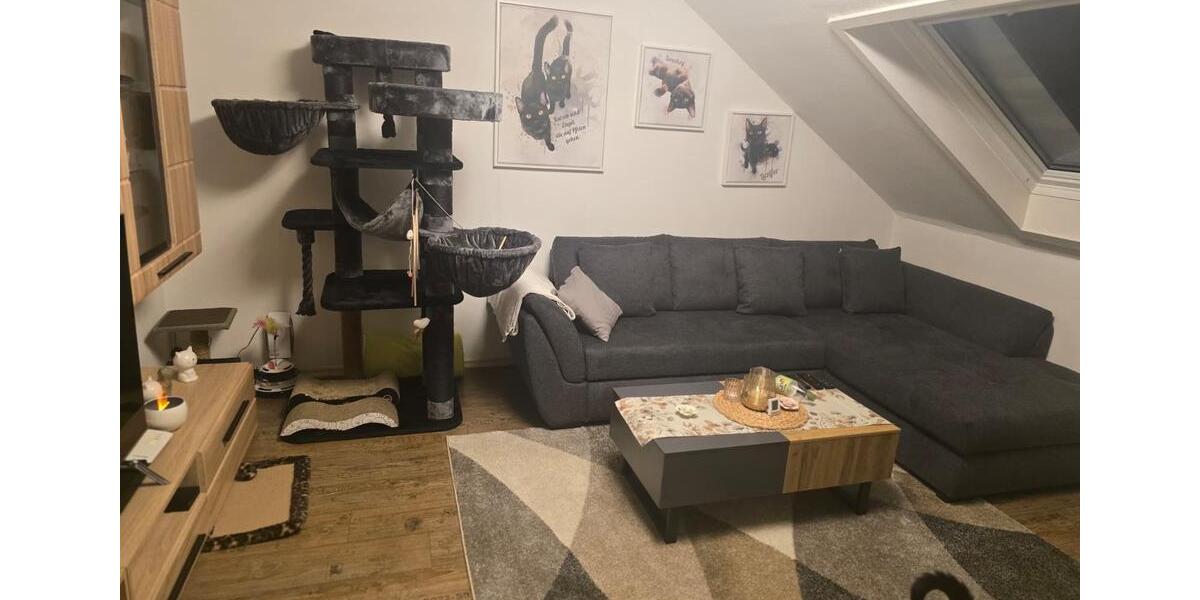 Dachgeschoßwohnung Übach-Palenberg Palenberg - 2 Zimmer, 49 m&sup2;, 440&euro; | Angebot:26536630
