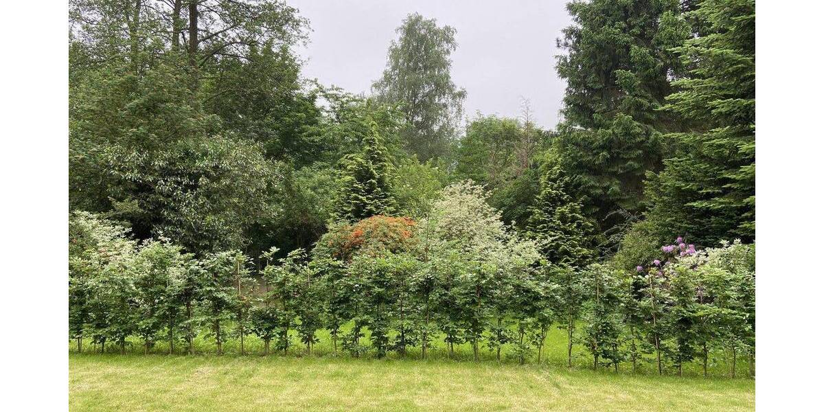 Etagenwohnung Hamburg Farmsen-Berne - 3 Zimmer, 86 m&sup2;, 1.800&euro; | Angebot:26909025