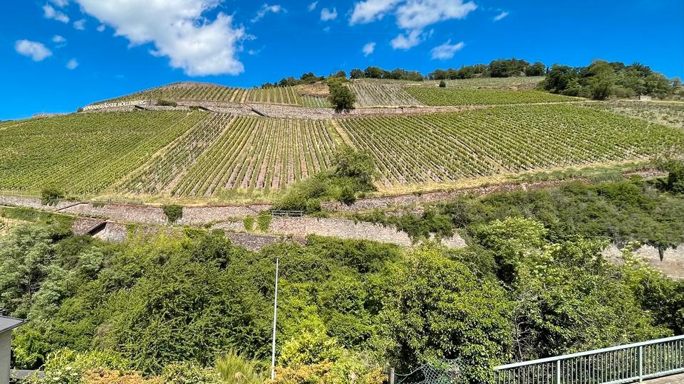 Terrassenwohnung Rüdesheim am Rhein - 3 Zimmer, 75 m&sup2;, 640&euro; | Angebot:26705419