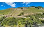 Terrassenwohnung Rüdesheim am Rhein - 3 Zimmer, 75 m&sup2;, 640&euro; | Angebot:26705419