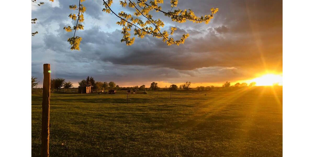 Dachgeschoßwohnung Nauen - 3 Zimmer, 73 m&sup2;, 800&euro; | Angebot:26042172